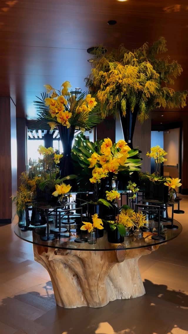 Large-scale lobby installation of yellow cymbidium orchids, towering mimosa clusters, yellow oncidium and fan palms in many tall and low black vases massed on a round glass-top tree-trunk table under a wood ceiling.